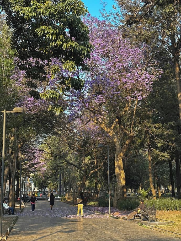 Fiesta Americana Reforma