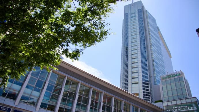 Shibuya Excel Hotel Tokyu, Primary image