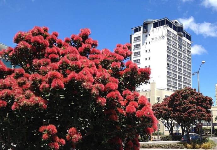 Bay Plaza Hotel, Primary image