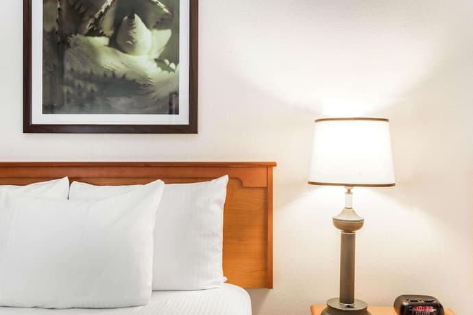 Baymont by Wyndham Orlando South, Room