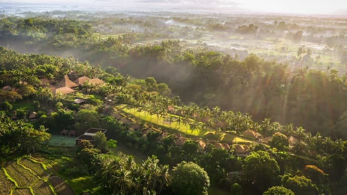 Maya Ubud Resort and Spa, Primary image