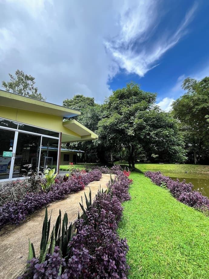 Hotel Colores del Arenal