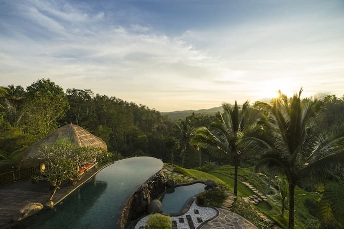 Adiwana Dara Ayu, Primary image