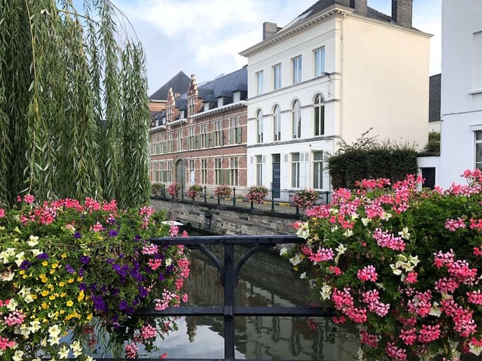 Comic Art Hotel, Primary image