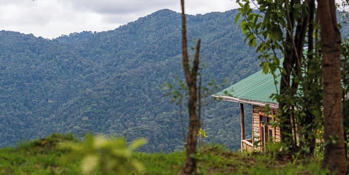 Orugano Bwindi Lodge