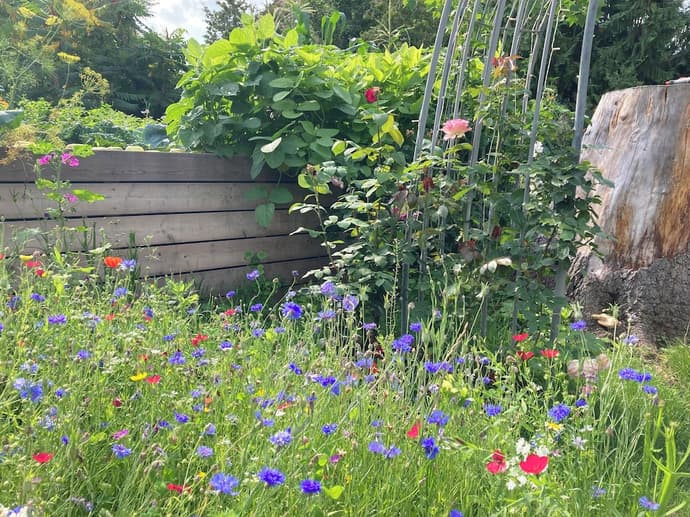 Kastanienhof Erfurt, Primary image