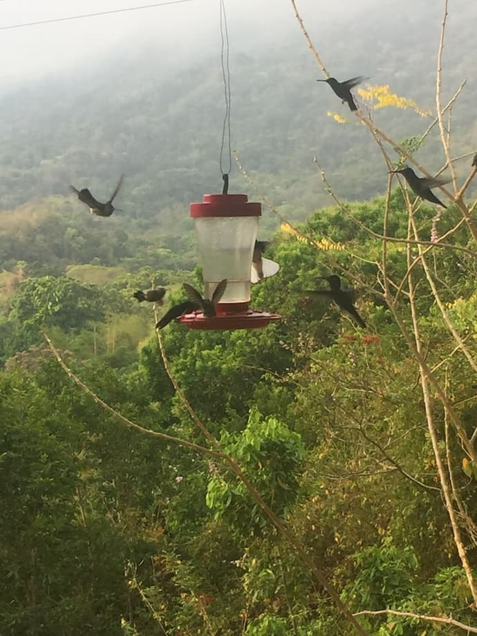 Hotel Minca - La Casona