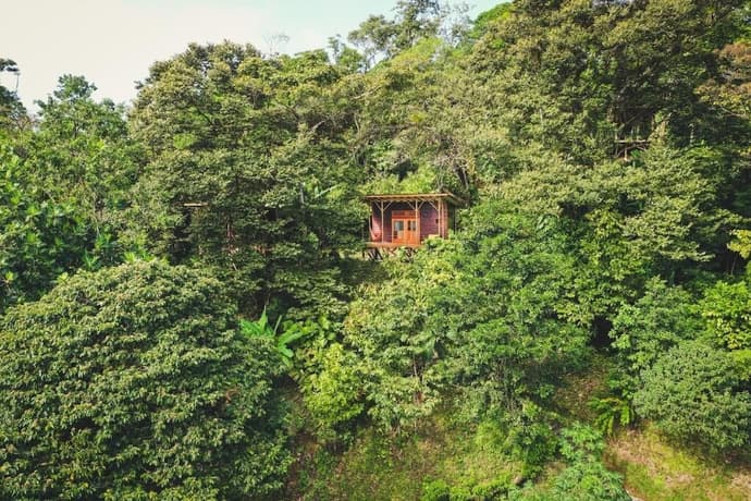 ataraxia bocas del toro