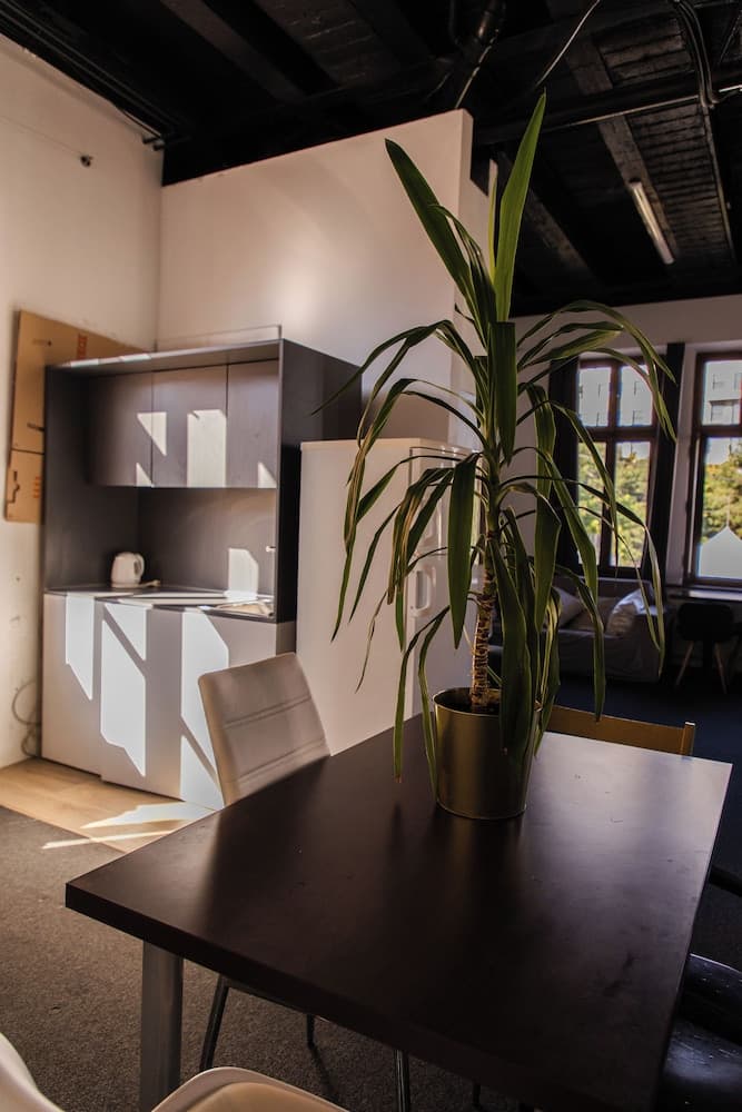 Blue Lotus Apartments