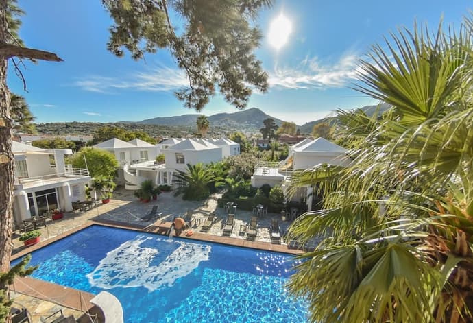 The Loriet, Primary image