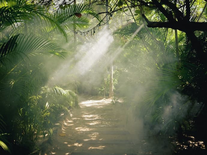 Nômade Temple Tulum