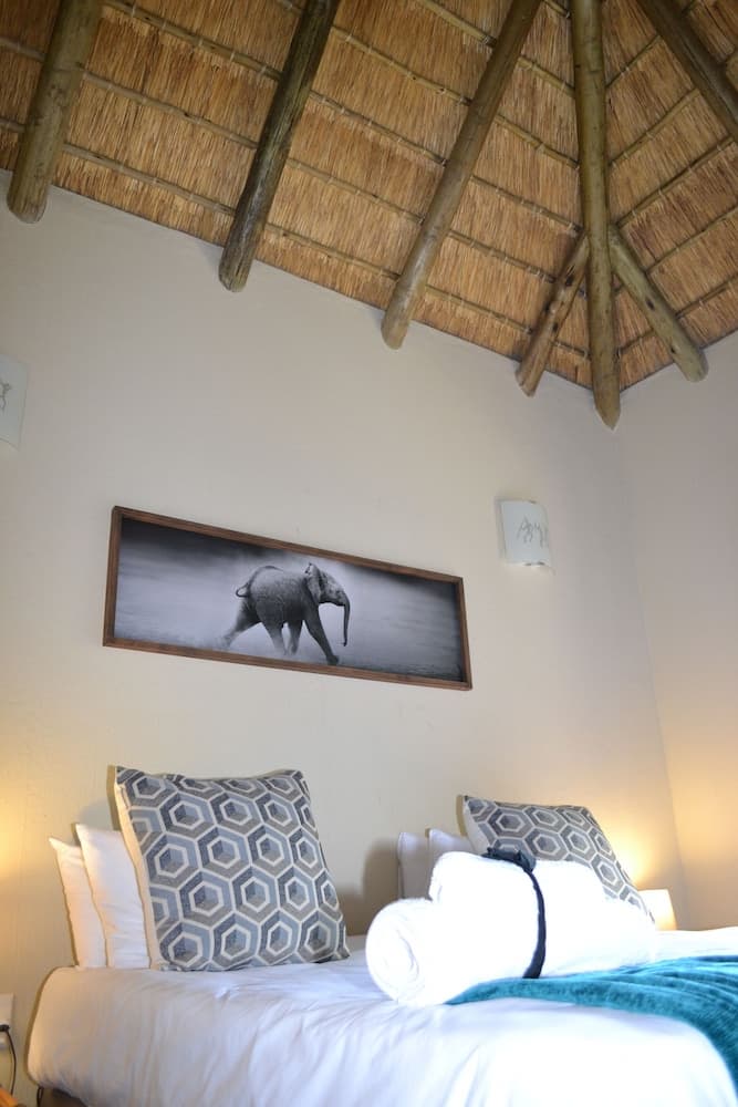 Raptors Wildlife Escapes