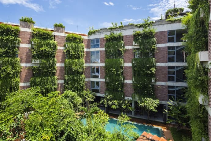 Mulberry Collection Silk Eco, Primary image