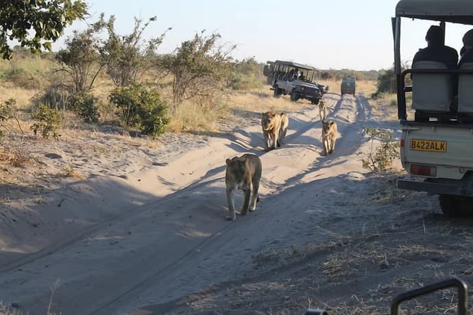 Ihaha Mobile Camp, Primary image