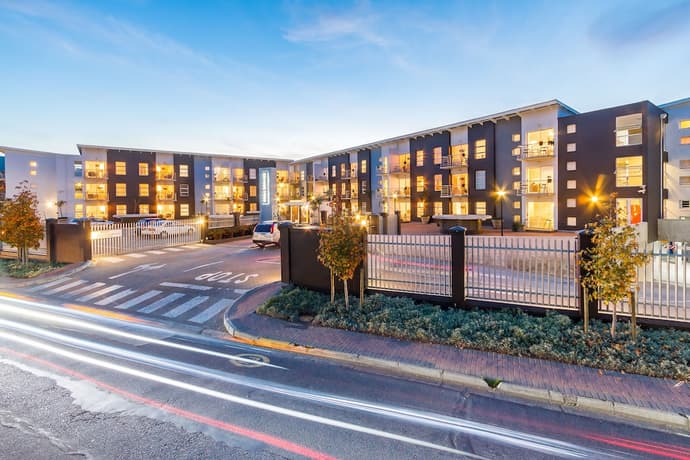 WINK Quiver Tree, Primary image