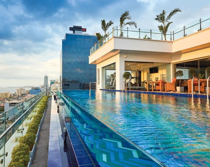 Mandarina Colombo, Primary image