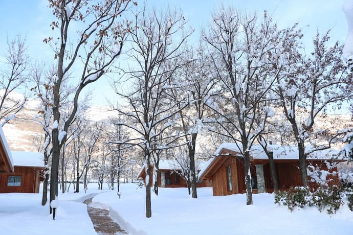 Lazy Bee Camping Village