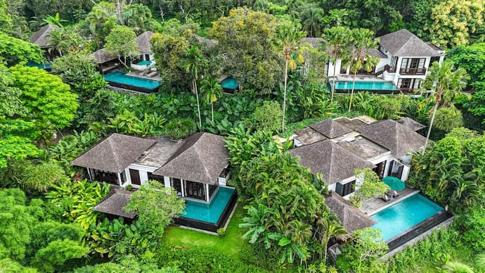 The Damai, Primary image