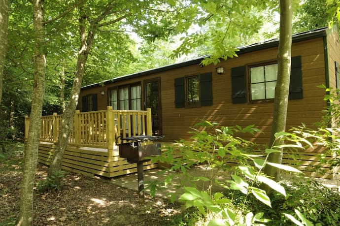 Disney Davy Crockett Ranch, Primary image