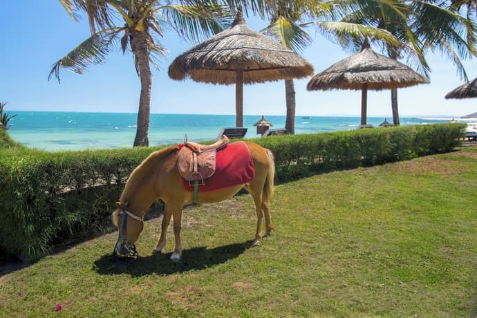 Victoria Phan Thiet Beach Resort & Spa, Primary image