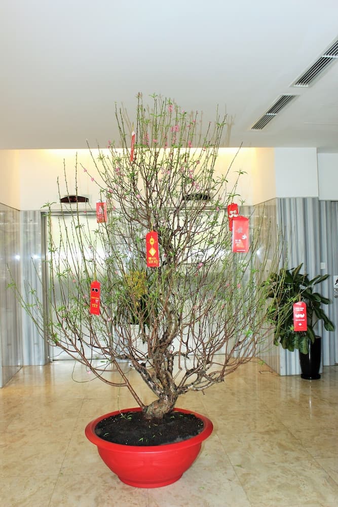 Liberty Hotel Saigon Greenview, Lobby