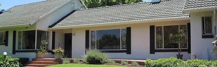 The Pecan Tree, Primary image