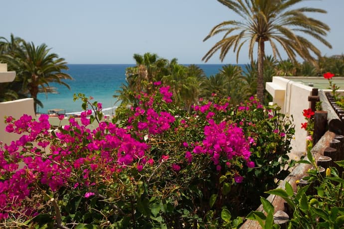 Grupotel Tres Vidas, Primary image