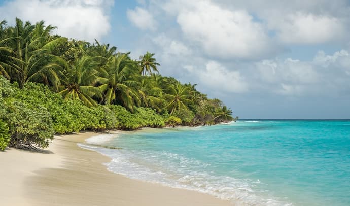 Athiriveli, Primary image