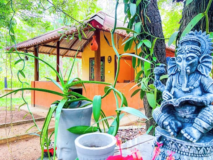 Niyagala Lodge, Primary image