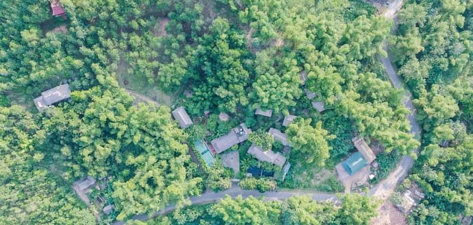 La Maison De Buoc, Primary image