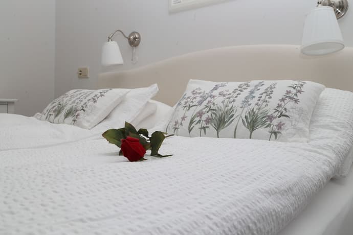 Country Dream guesthouse, Primary image