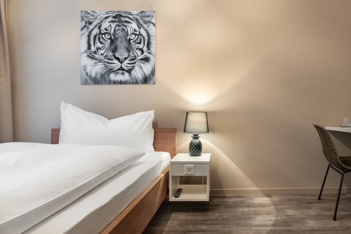 Hotel Birsighof, Primary image