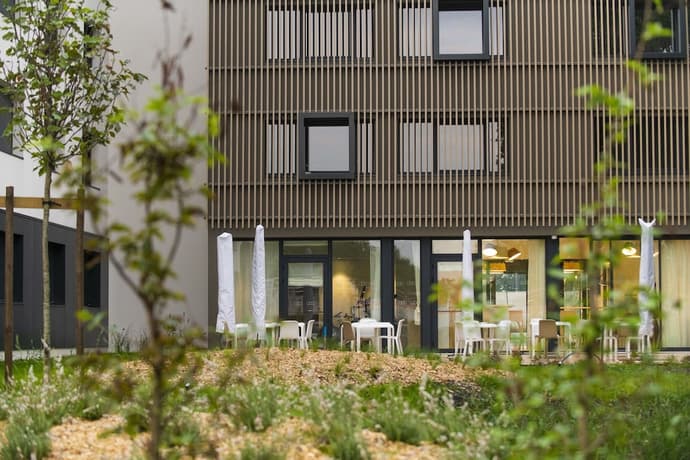 Enight, Primary image