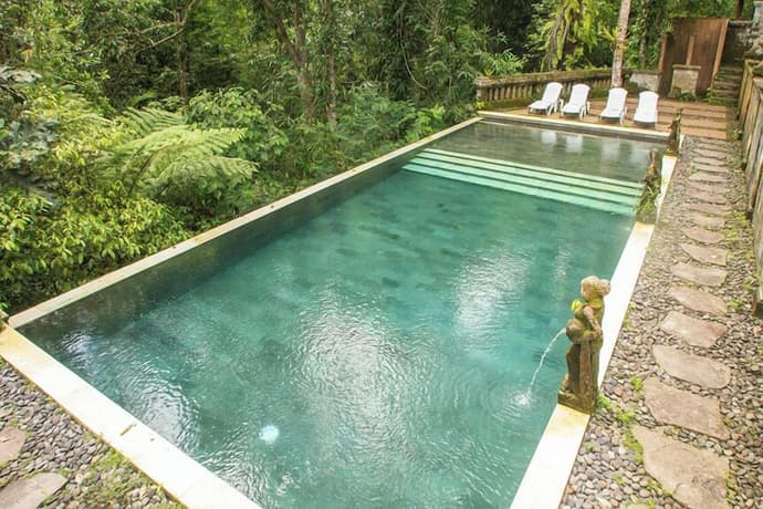 Bali Jungle Resort, Primary image