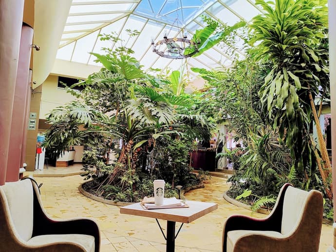 Hotel Jardines del Centro, Primary image