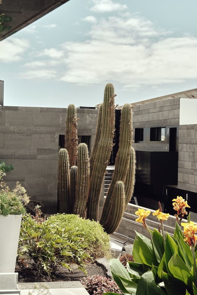 La Isla y el Mar Hotel Boutique - Adults Only, Primary image