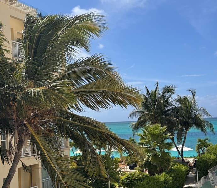 Windsong on the Reef, Primary image