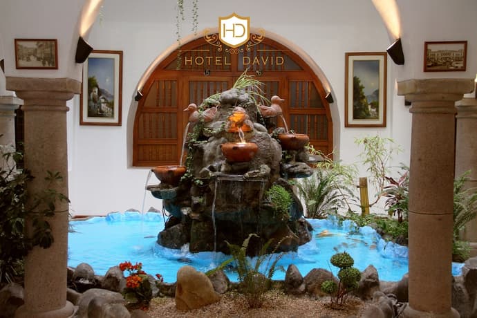 Hotel David, Primary image