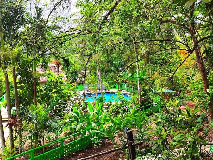 The Maya Mountain Lodge, Primary image