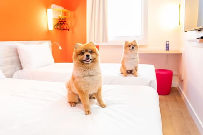 ibis budget São Caetano