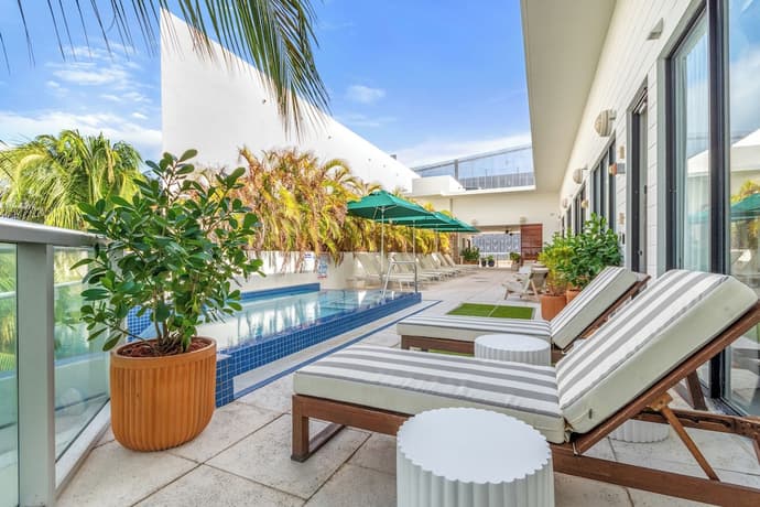 The Daydrift, Primary image