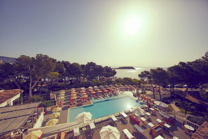 Alua Calvia, Primary image