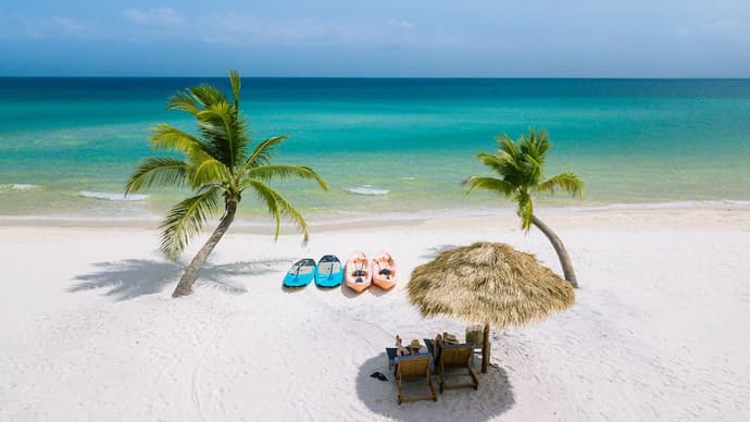 The Secret Garden Koh Rong, Primary image