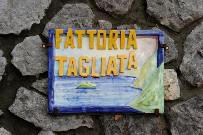 Fattoria La Tagliata, Primary image