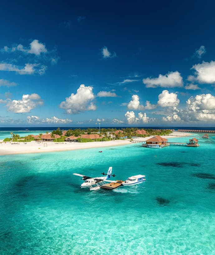 Brennia Kottefaru, Primary image