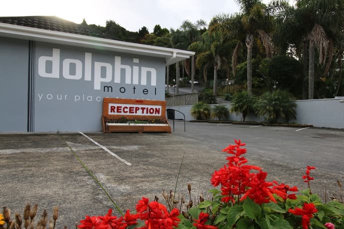 Dolphin Motel, Primary image