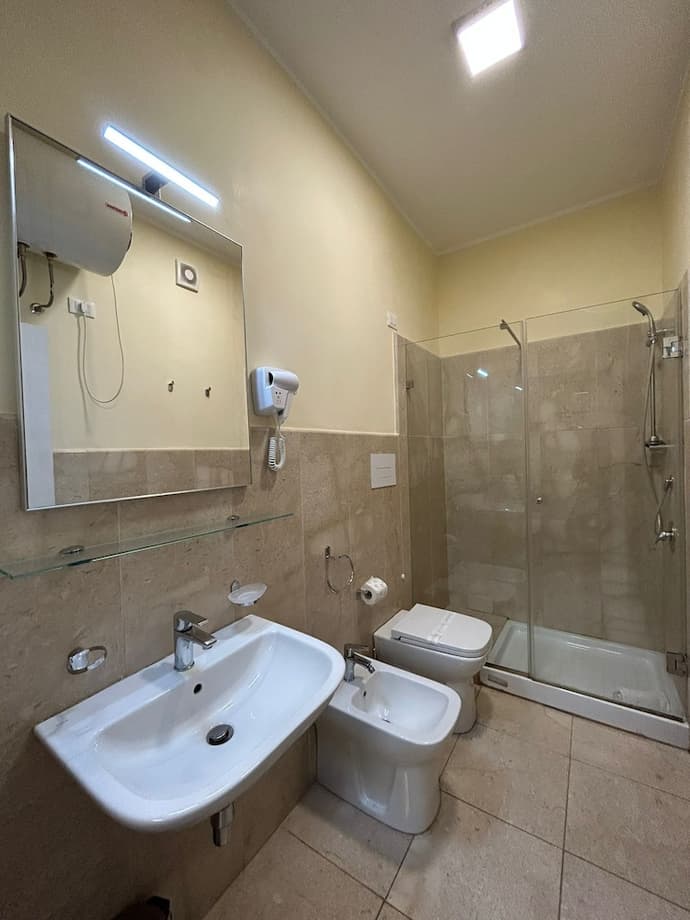 55 Aira, Primary image