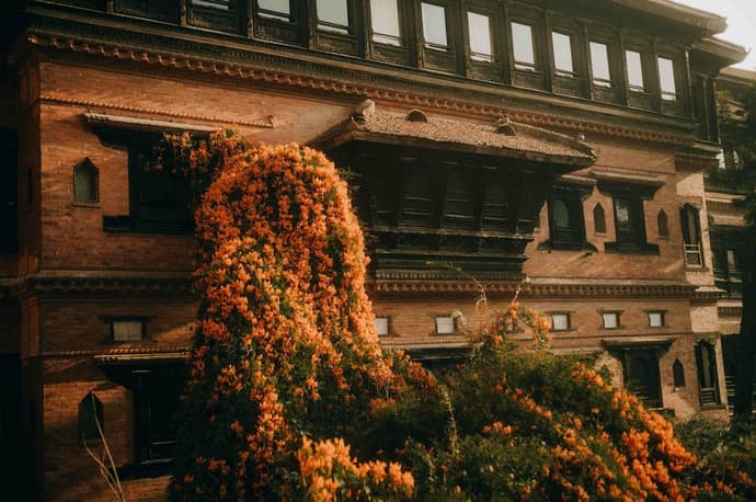 The Dwarika's, Primary image