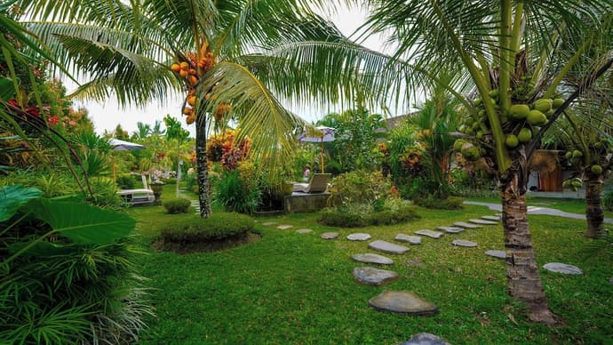 Green Coconut Cottage