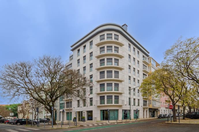 Olissippo Saldanha, Primary image